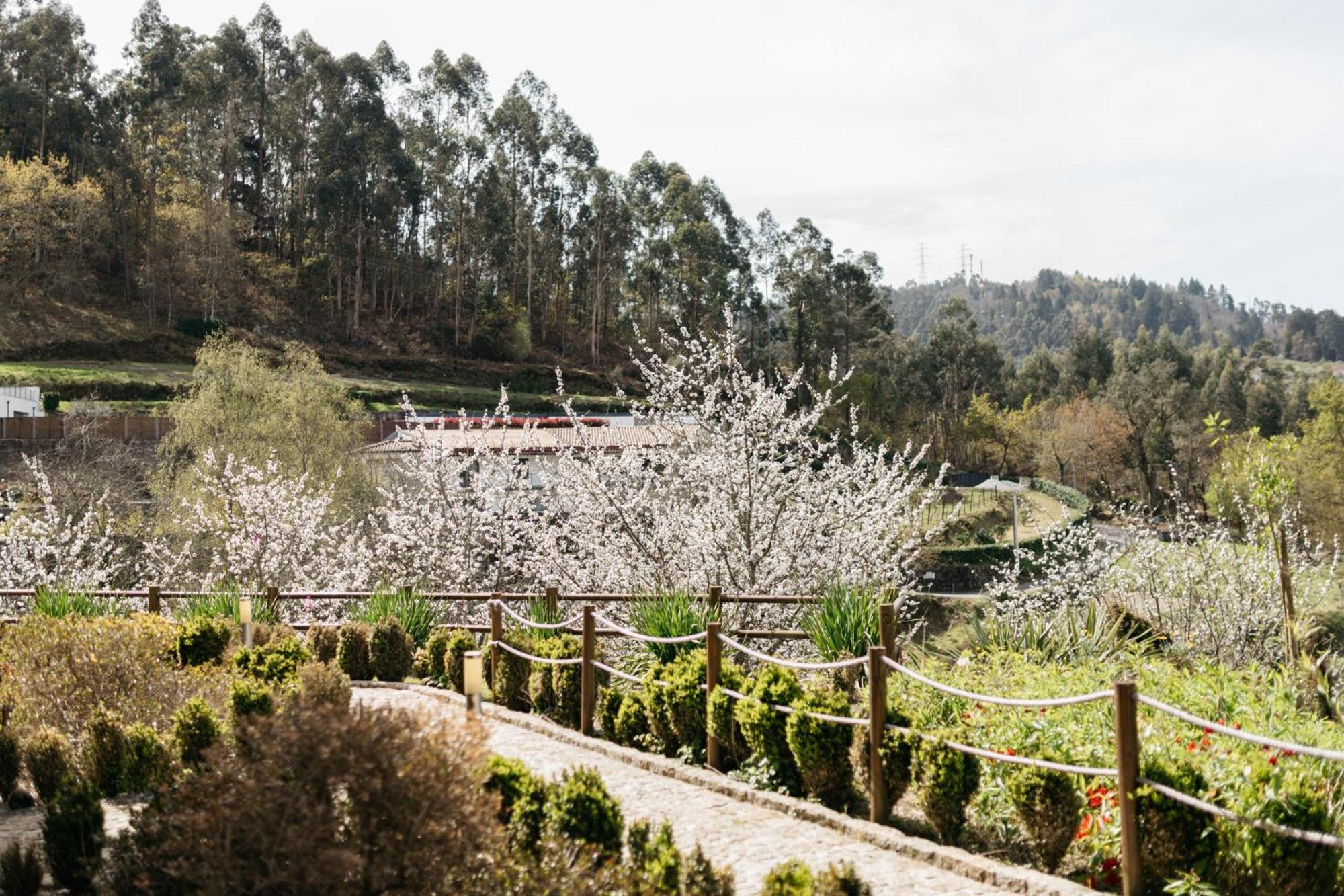 Quinta Do Bento Ξενοδοχείο Vieira do Minho Εξωτερικό φωτογραφία